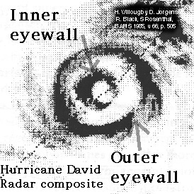 Concentric Eye Wall Cycles