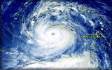 Click here to view Gloria's full NOAA/OSEI enhanced image!